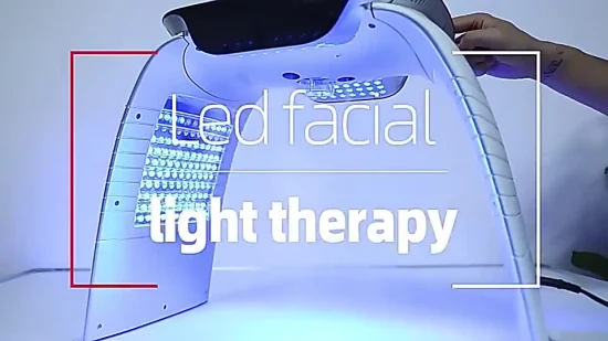 Machine professionnelle de salon de beauté de rajeunissement de peau de soins de la peau de thérapie de lumière LED de PDT